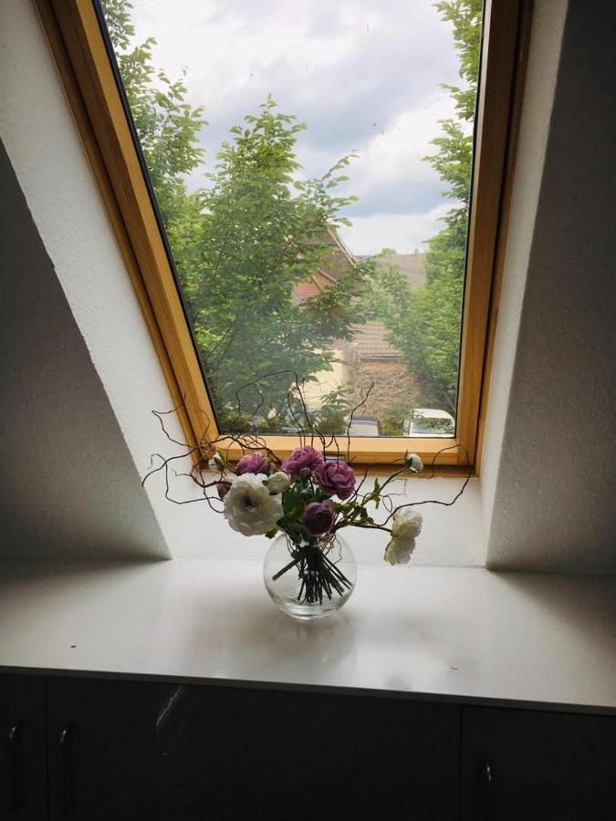 Rheingau - Schoene Moeblierte Ferienwohnung Eltville am Rhein Buitenkant foto
